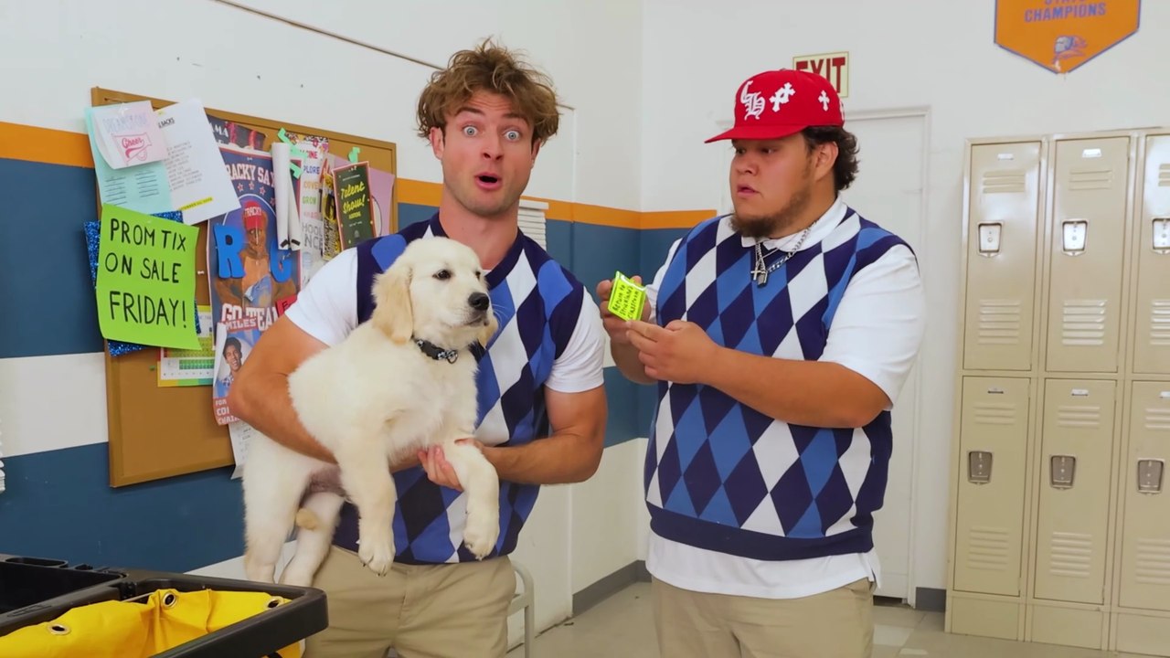 I Found 10 Lost Puppies At School