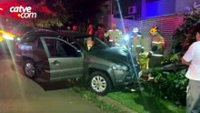 Carro avança calçada e derruba árvore no Canadá