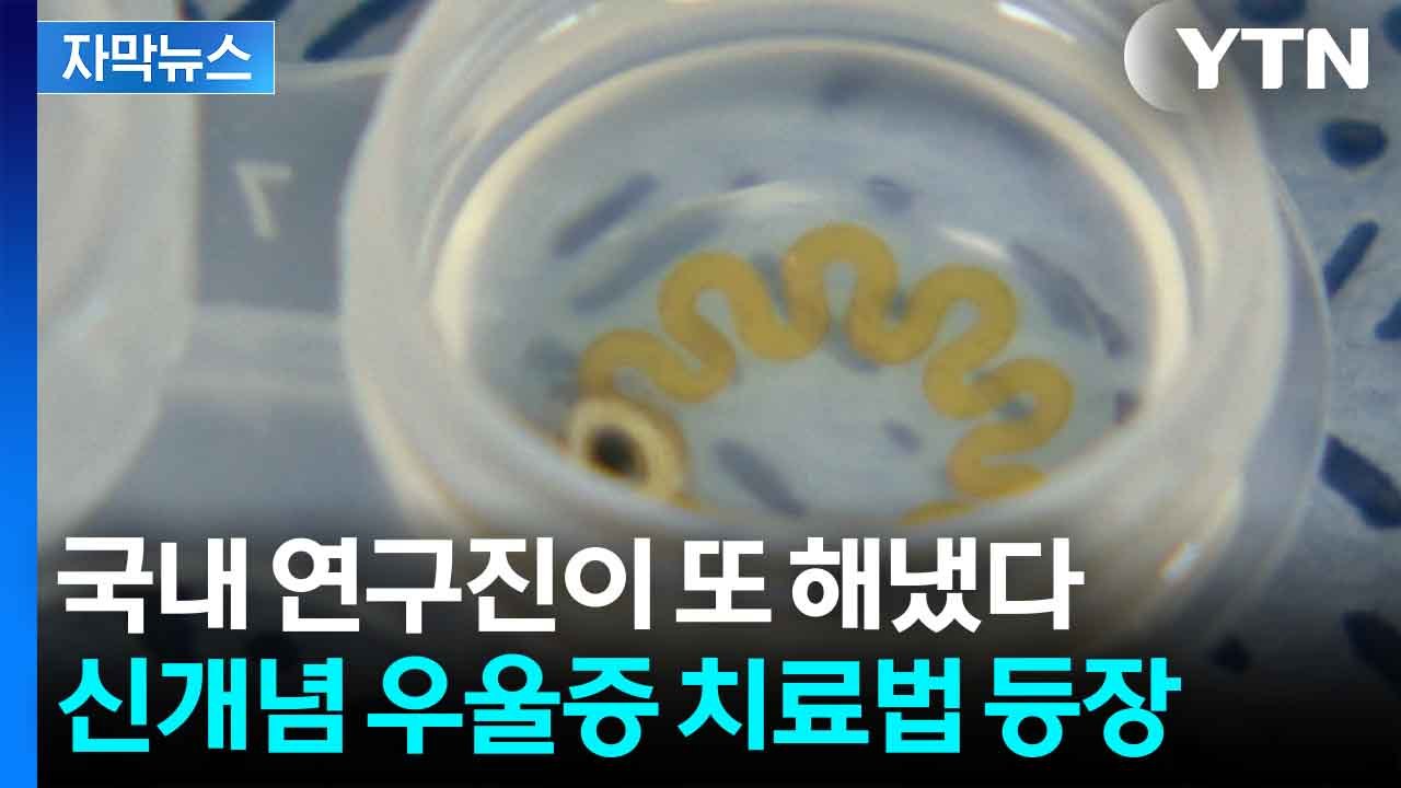 [자막뉴스] 상상도 못한 우울증 치료...국내 연구진이 또 해냈다 / YTN