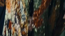 Tomorrow on Who What Wear: A Glimpse of What's to Come