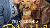 The Cure for a Broken Heart | Full Series (56 eps) HD