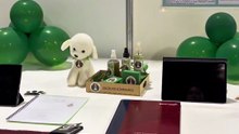 ExpoCiencias Yucatán 2026 premia a estudiantes que representarán al estado