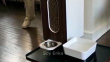 Comedero Automático para Mascotas con Dispensador Giratorio | Diseño Moderno y Elegante