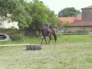 Les écuries de Grimon