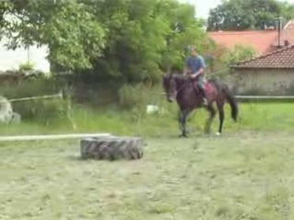 Les écuries de Grimon