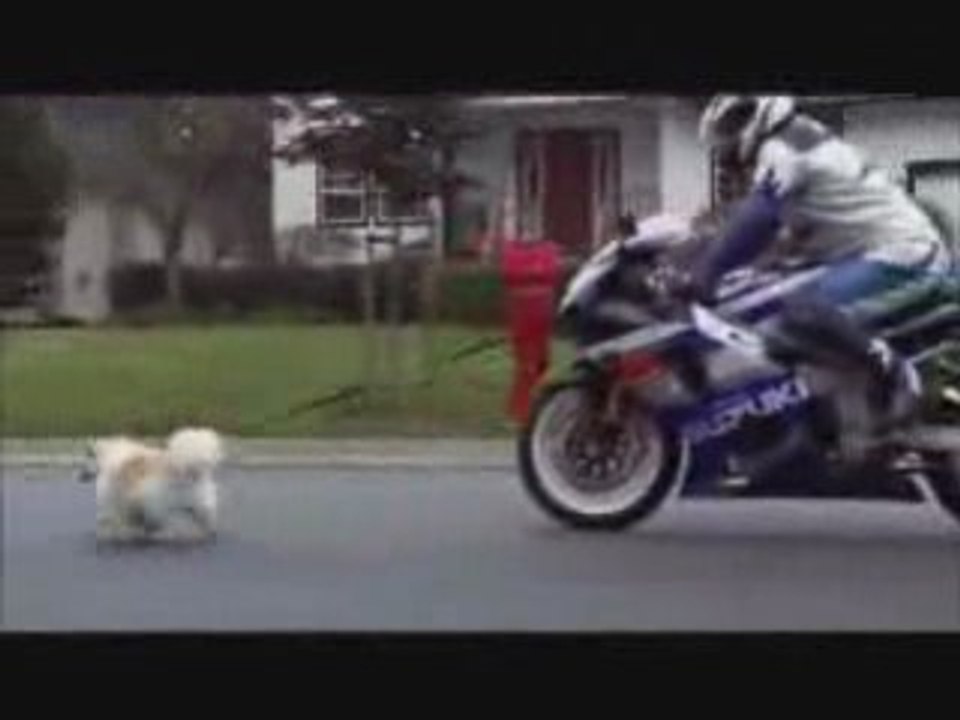 Suzuki Commercial