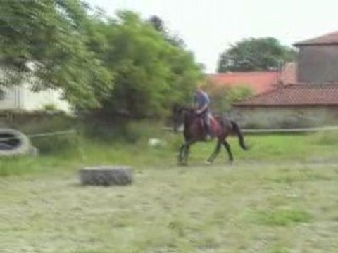 Les écuries de Grimon