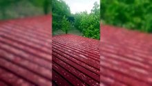 Sinop'ta dolu sürprizi
