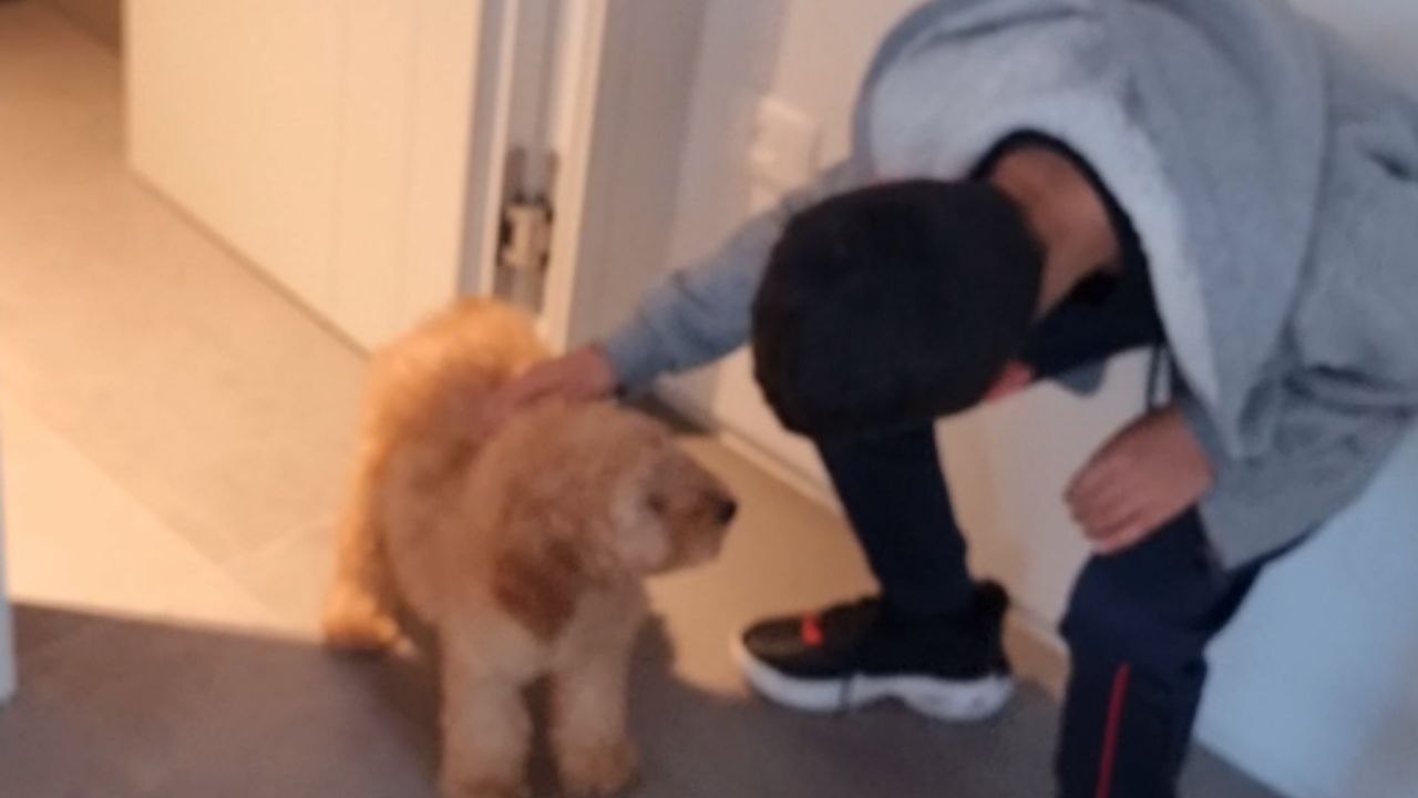 Kids Instantly Fall for Their Adorable New Puppy Surprise