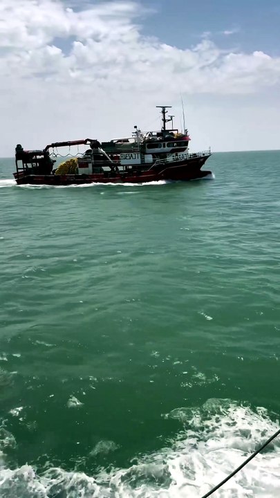 🌻Nature , Ocean and Fishing Fishing life