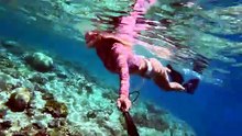 ELUSIVE CATCH  Coral Trout Catch  Cook On A Tropical Island