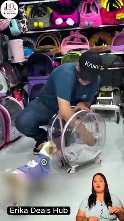 Mira Como Transportar Tu Mascota A Todos Lados | Pet Carrier Travel Solution