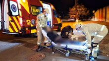 Jovem é encontrada caída no Interlagos e cachorrinha Nina comove equipes de socorro