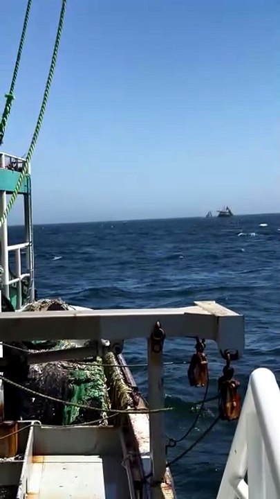 🌻Nature , Ocean and Fishing Fishinglife