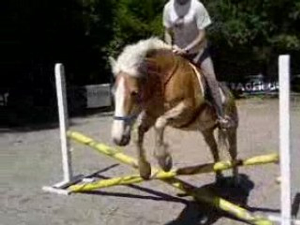 Nani saut