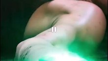 Beast Heart - My Cross-Species Harem-Drama FULL MOVIES ENGLISH SUB [Full Movie]