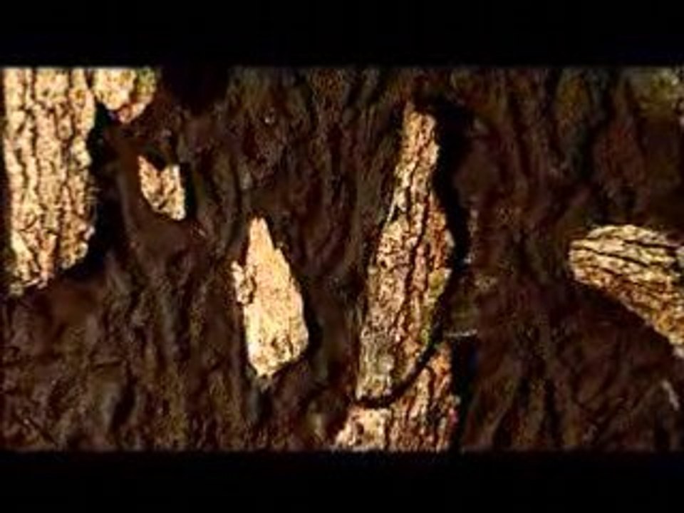 Ernesto MORA - Artiste Peintre #3