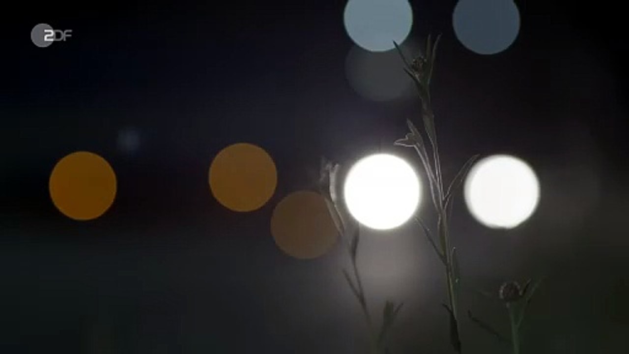 XY Spuren des Verbrechens-Serienmörder