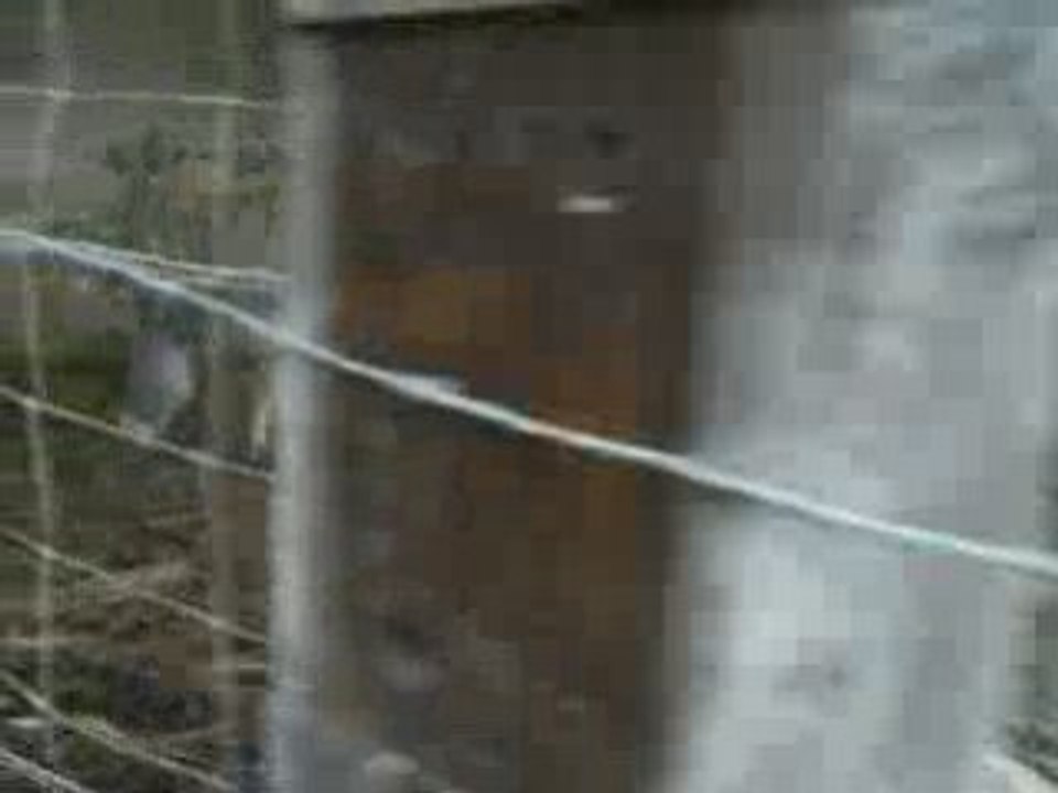 CIMG0190