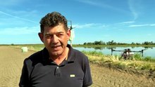 Ora la semina del grano in Sardegna si fa col drone: le immagini sono spettacolari - VIDEO