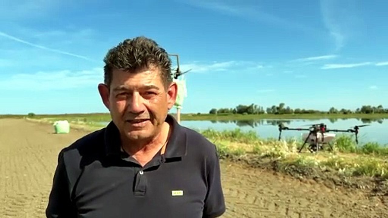Ora la semina del grano in Sardegna si fa col drone: le immagini sono spettacolari - VIDEO