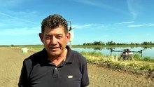 Ora la semina del riso in Sardegna si fa col drone: le immagini sono spettacolari - VIDEO