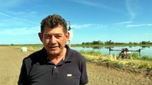 Ora la semina del riso in Sardegna si fa col drone: le immagini sono spettacolari - VIDEO