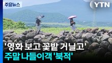 '영화 보고 꽃밭 거닐고'...주말 나들이객 '북적' / YTN