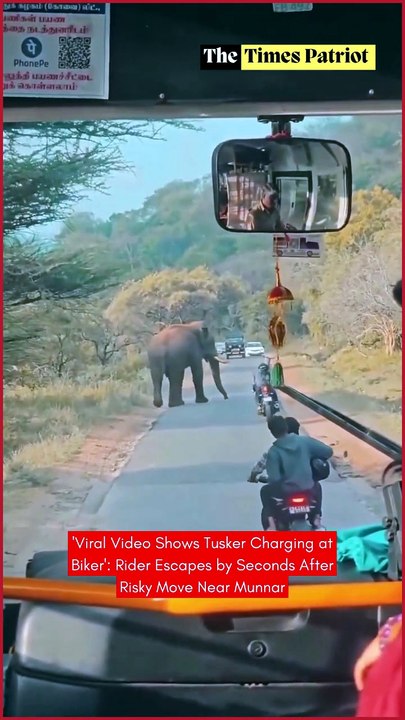 'Viral Video Shows Tusker Charging at Biker': Rider Escapes by Seconds After Risky Move Near Munnar