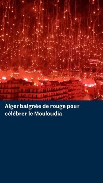 Alger baignée de rouge pour célébrer le Mouloudia