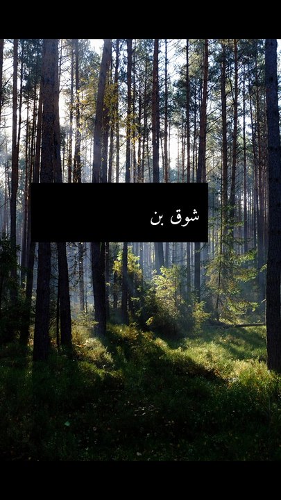 Part 1 بادشاہ کی بیٹی اور یتیم کا واقعہ