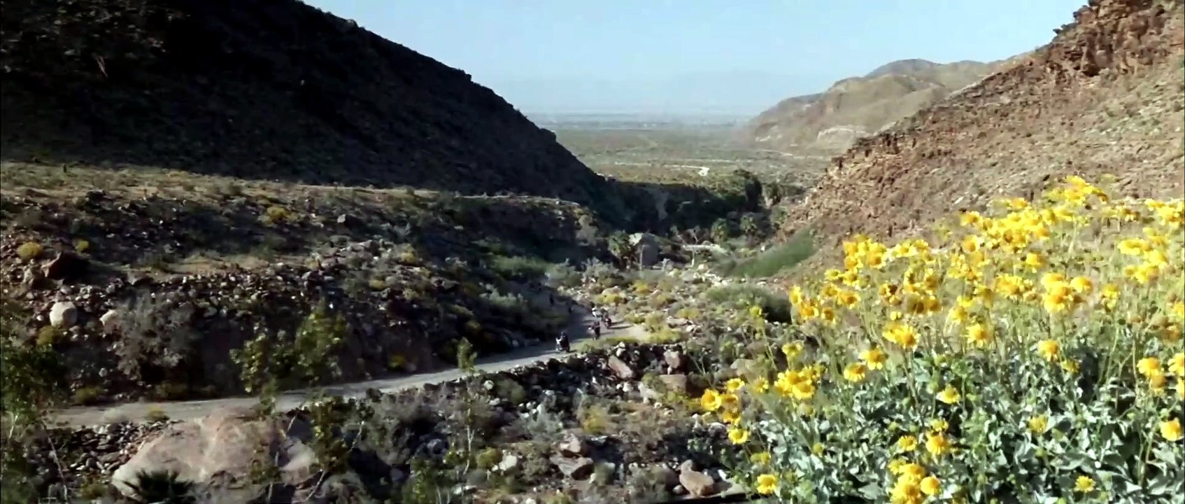 Die Wilden Engel (1966) stream deutsch HD