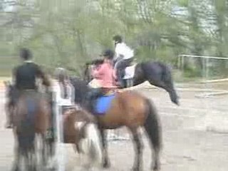 Anais cso
