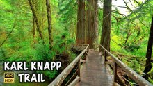 Karl Knapp 🌿 | Prairie Creek Redwoods State Park California 4K 60 FPS