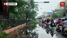 ସ୍ମାର୍ଟସିଟିରେ କାଳବୈଶାଖୀ ତାଣ୍ଡବ, ଉପଡ଼ିଲା ଗଛ, ଭାଙ୍ଗିଲା ହୋଡିଂ