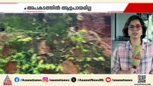 കനത്ത മഴ; പാലക്കാട് പ്രാഥമികാരോ​ഗ്യ കേന്ദ്രത്തിൻ്റെ ചുറ്റുമതിൽ ഇടിഞ്ഞുവീണു