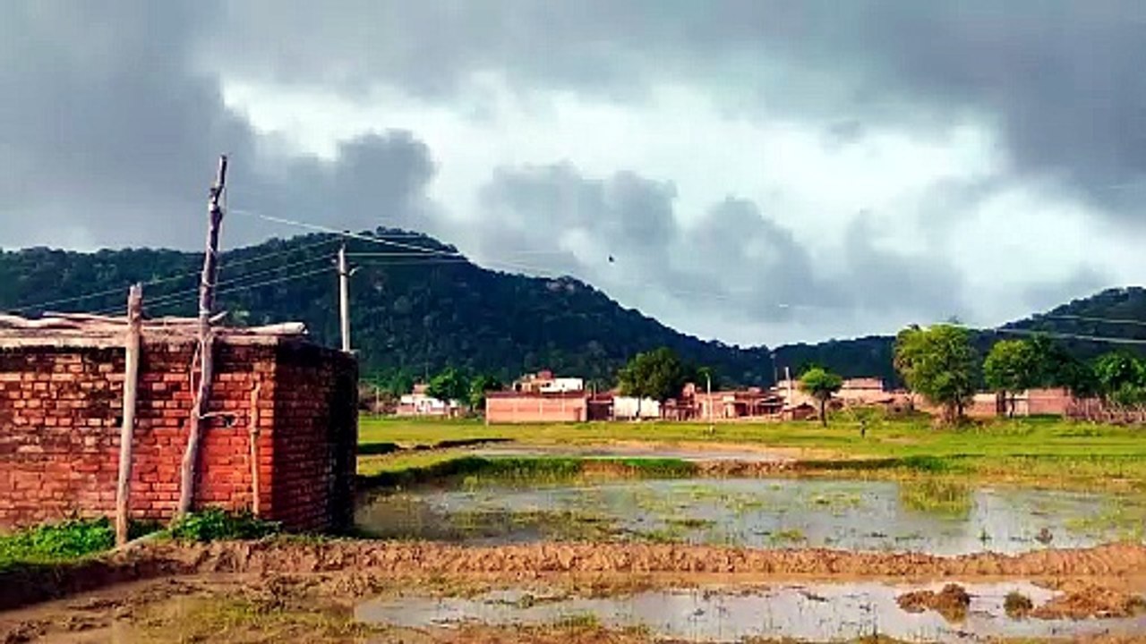 Beautiful nature view l best nature video l weather status video