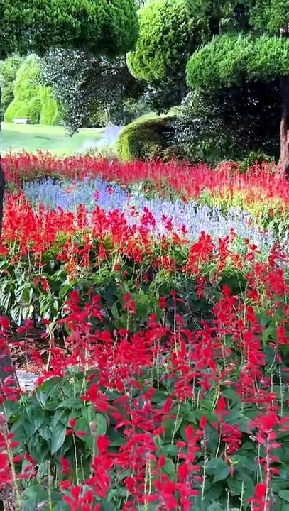 Escapade sur une île japonaise : Nokonoshima, un parc floral féerique et des paysages à couper le souffle !
