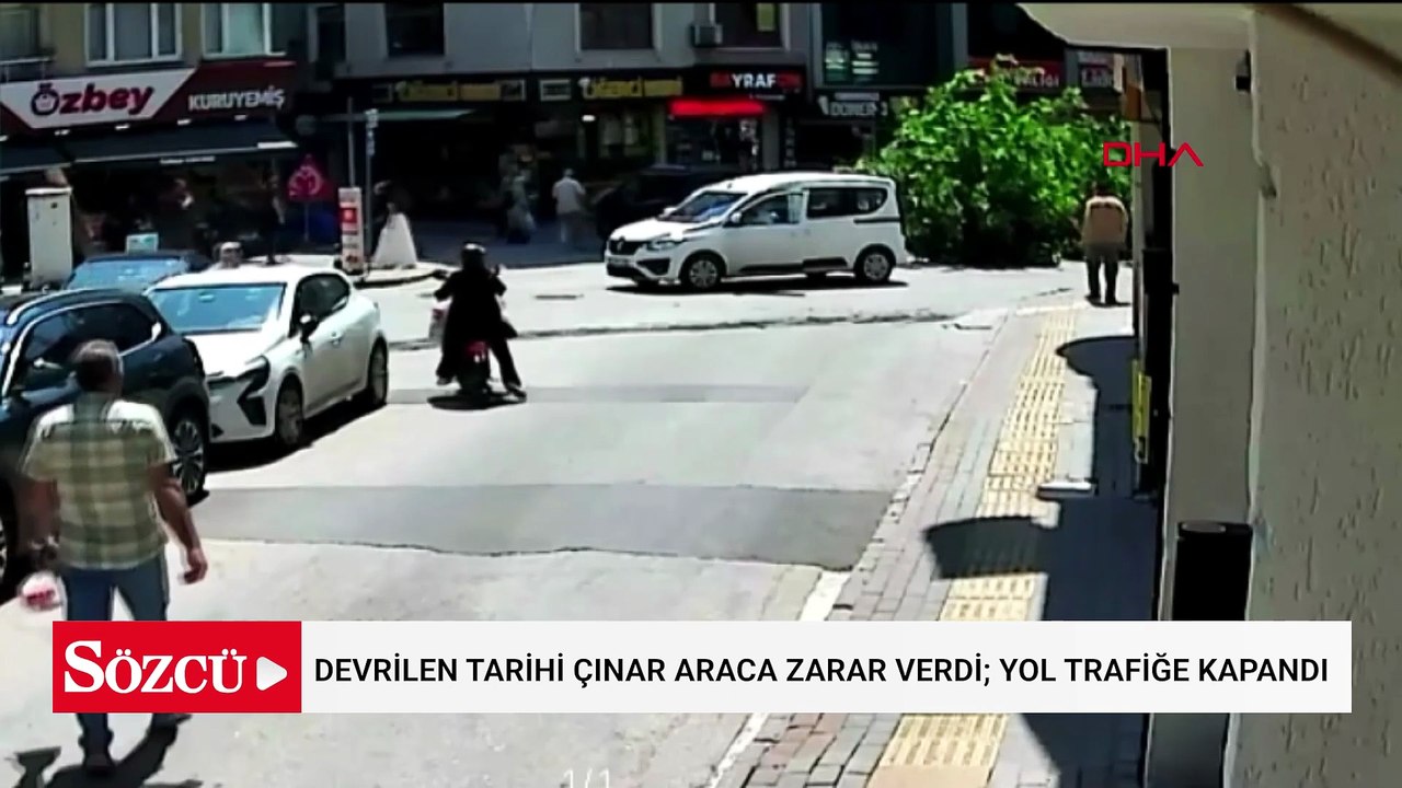 Devrilen tarihi çınar araca zarar verdi; yol trafiğe kapandı