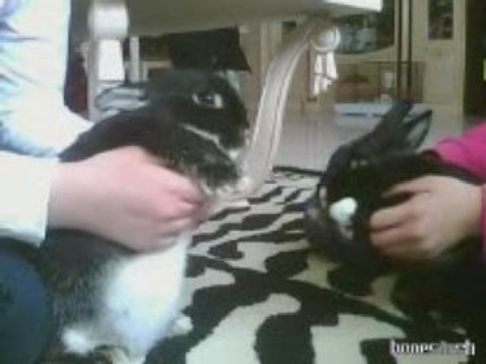 Kiri & Sélénia are not happy...XD