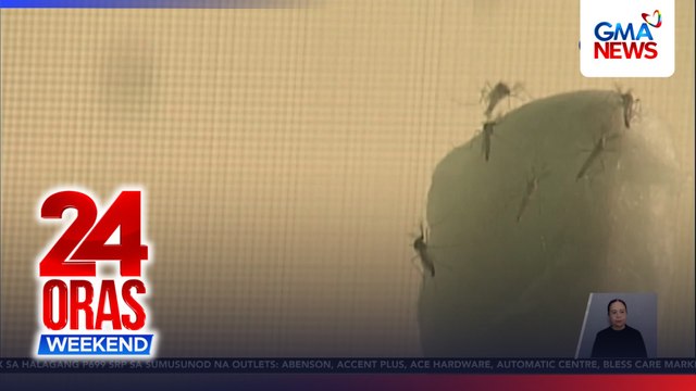 Publiko, pinag-iingat sa WILD diseases o mga sakit tuwing tag-ulan | 24 Oras Weekend