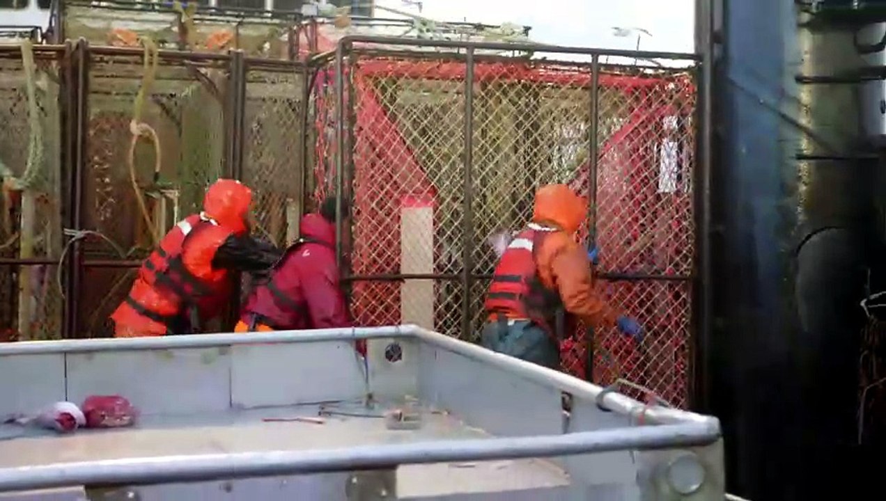 Deadliest Catch S22E05