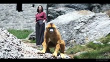 HIS DARK MATERIALS (2019-2022) Trailer VO - HD [Full Movie]