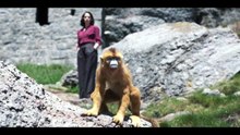 HIS DARK MATERIALS: LA MATERIA OSCURA (2019-2022) Trailer VOST - SPANISH [Full Movie]