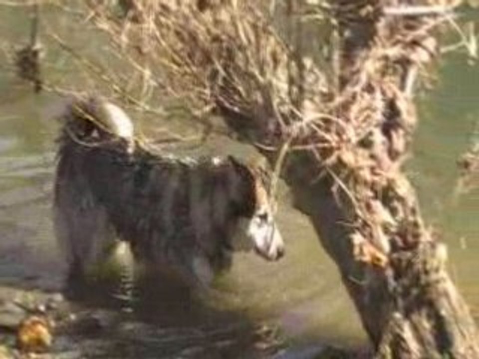 China joue dans l'eau.
