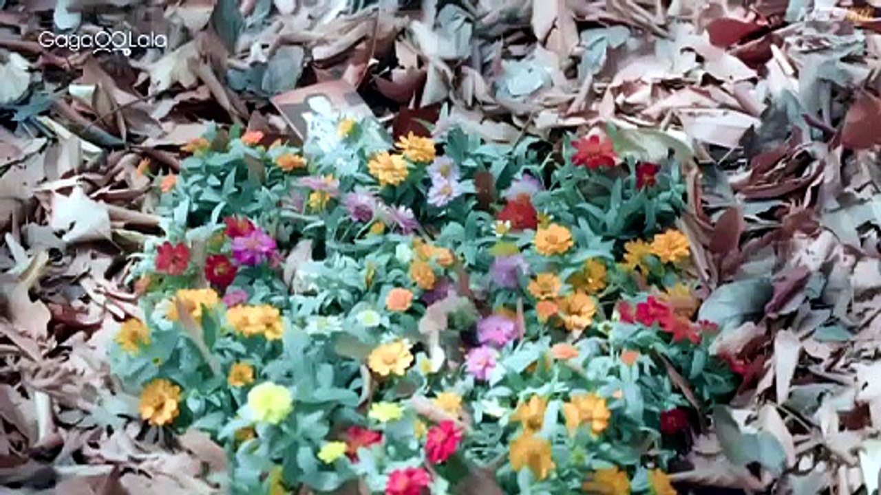 E.7 - Flower Boy - EngSub