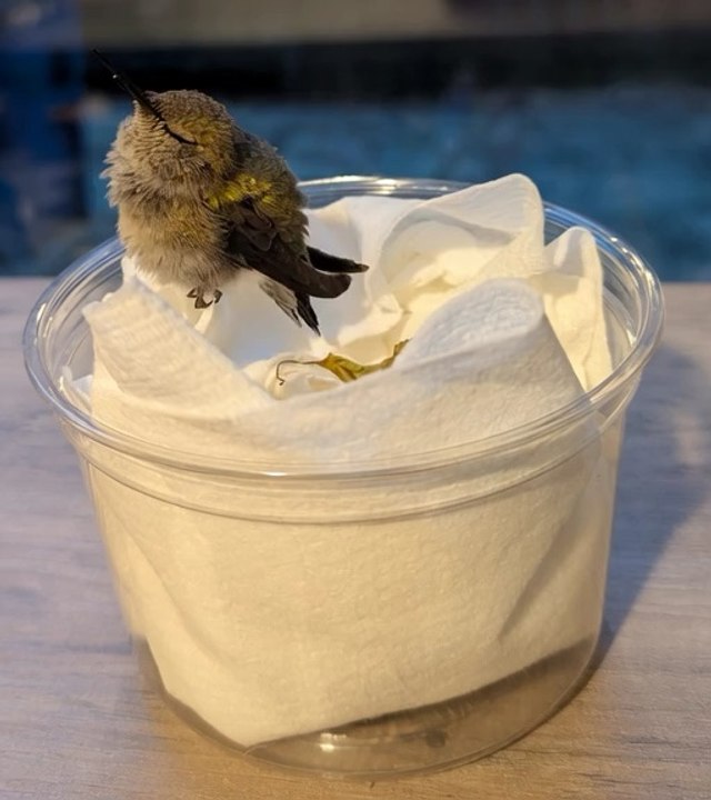 Here's my latest video