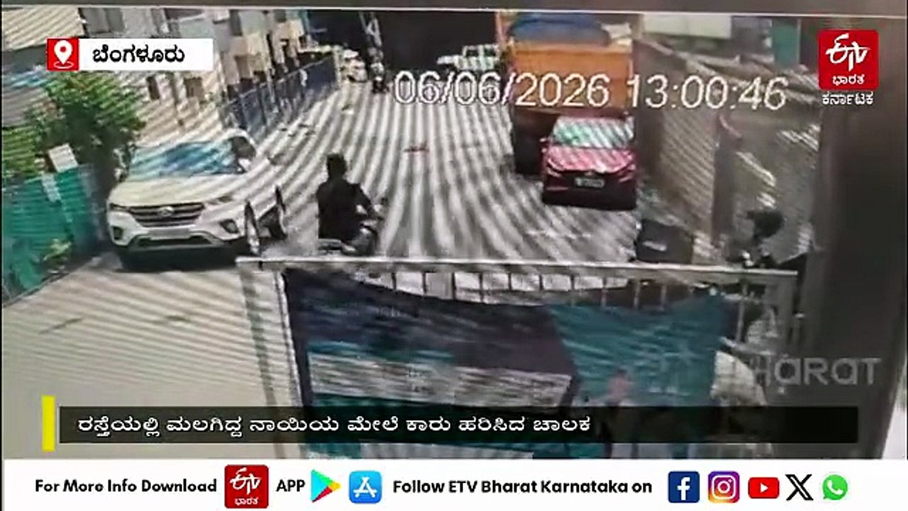 ರಸ್ತೆಯಲ್ಲಿ ಮಲಗಿದ್ದ ನಾಯಿಯ ಮೇಲೆ ಕಾರು ಹರಿಸಿ ಕೊಲೆ: ಬೆಂಗಳೂರಲ್ಲಿ ಅಮಾನವೀಯ ಕೃತ್ಯ