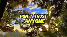 Don't Trust Anyone 😕