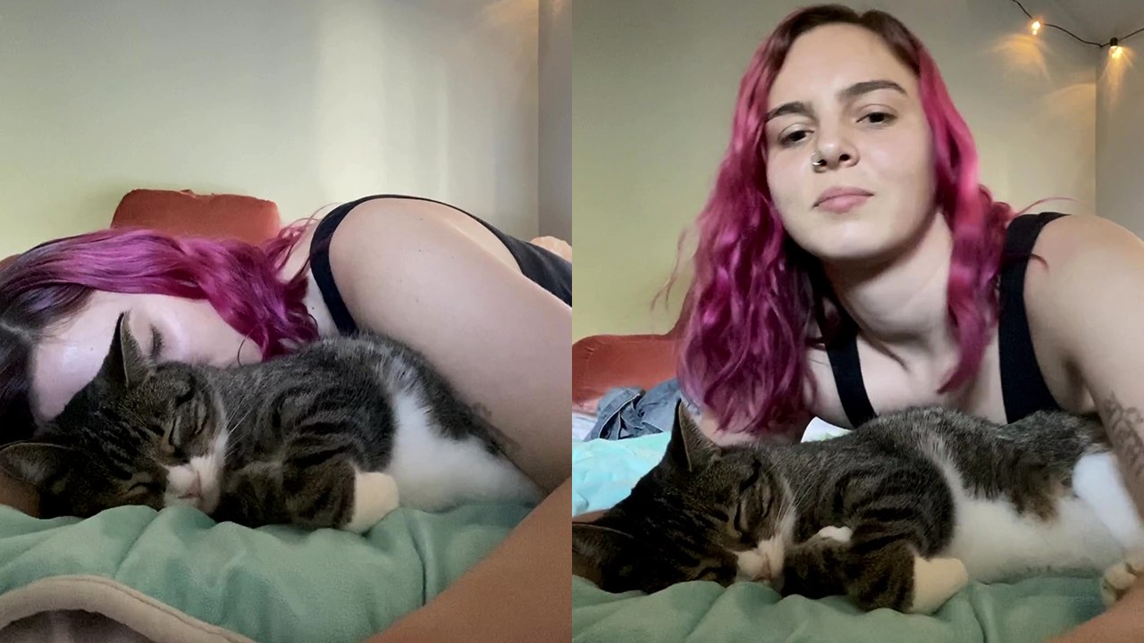 Heartwarming Cat Cuddles After Owner Encroaches on His Space